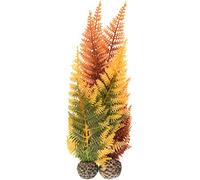 biOrb Jeu de 2 fougères aux couleurs automnales