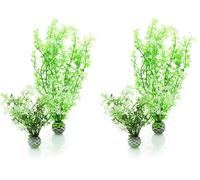 biOrb Jeu de 2 Plantes Hivernales (Lot de 2)