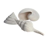 biOrb Jeu de 3 coquillages blancs