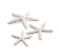 biOrb Jeu de 3 étoiles de mer, blanc