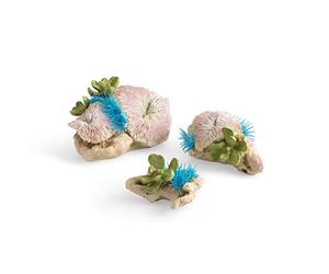 biOrb Jeu de coraux champignons et de polypes à boutons