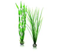 biOrb Jeu de plantes L en vert