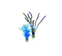 biOrb Jeu de plantes M en bleu et violet