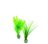 biOrb Jeu de plantes S en vert