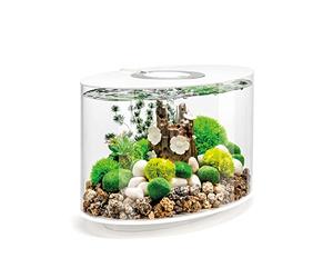 biOrb LOOP 15 LED Aquarium, 15 litres, blanc - Kit complet d'aquariums avec système de filtration breveté, cuve en acrylique