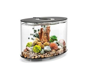 biOrb LOOP 15 LED Aquarium, 15 litres - Kit complet d'aquariums avec système de filtration breveté, cuve en acrylique