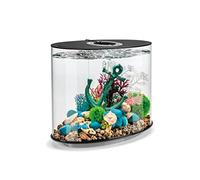 biOrb LOOP 30 LED Aquarium, 30 litres - Kit complet d'aquariums avec système de filtration breveté, cuve en acrylique