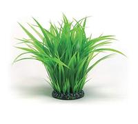 biOrb Plante d'Aquarium pour Aquariophilie Anneaux d’Herbe Grand