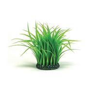 biOrb Touffe d’herbe en anneau M en vert