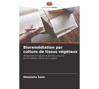 Bioremédiation par culture de tissus végétaux: Multiplication massive de bambous pour la bioremédiation des terrains vagues