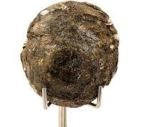 BIOTITE - Pierre Naturelle en Provenance du Portugal, Arouca - Roche métamorphique, propriétés de protection et d'ancrage - 444.0 ct - Certificat d'Authenticité Inclus 63 x 48 x 20 mm G