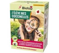 Kit : j'élève mes coccinelles