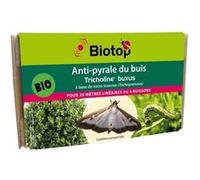 biotop - trichogrammes anti pyrale de buis tricholine buxus G
