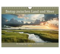 Biotop zwischen Land und Meer (Wandkalender 2026 DIN A4 quer), CALVENDO Monatskalender: Einzigartige Vogelwelt der Salzwiesen