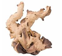 Biotope Aquatics Ltd Aquarium en bois flotté Mopani - Différentes tailles - Bois de tourbier naturel pour décoration d'aquarium - Fougère de Java ou mousse (taille XXL)