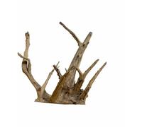 Biotope Aquatics Ltd Bois d'aquarium - Racine d'arbre structurée - Décoration d'aquarium en bois flotté - Différentes tailles (petit (10-20 cm)
