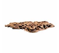 Biotope Aquatics Ltd - Bois nid d'abeille naturel pour aquarium - Plusieurs tailles - Décoration d'aquarium - Racine en bois de cholla (pièce de 45 à 58 cm (taille XL/XL)