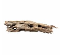 Biotope Aquatics Ltd - Bois nid d'abeille naturel pour aquarium - Plusieurs tailles - Décoration d'aquarium - Racine en bois de cholla (pièce de 25 à 40 cm (taille L)