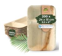 BIOZOYG Palmware Haute qualité d'assiette en feuille de palmier I 200 plats repas jetable en feuille de palmier rectangulaire 24x15cm avec 2 portions séparés I biodégradable jetable vaisselle