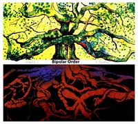 Bipolar Order: Duality [CD]