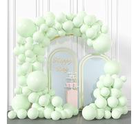 BIQIQI 113 Pcs Ballons Vert Sauge Pastel - Arche De Baudruche pour Anniversaires, BabyShower, Décoration Noël (Macaron Vert)