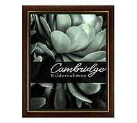 BIRAPA Cambridge Porte Photo Cadre en bois de noyer doré avec vitre en verre synthétique antireflet 50 x 70 cm