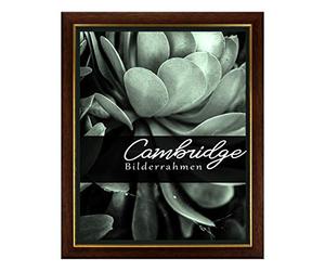 BIRAPA Cambridge Porte Photo Cadre en bois de noyer doré avec vitre en verre synthétique antireflet 40 x 60 cm