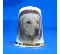 Birchcroft China Porcelaine Fine à Collectionner Dé à Coudre Chien Golden Retriever