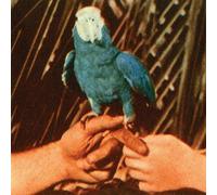 Andrew Bird – Are You Serious – CD