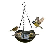 Bird Bath for Outside - Vintage Decorative Plate, Weather-Resistant Basin with Hanging Hook, Antique Finished Metal, Wildlife Hydration Station, for Garden Balcony Courtyard Backyard Space