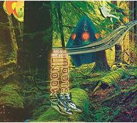 BIRD BEAR HARE AND F - Moon Boots