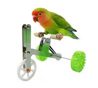 Bird Bike - Intelligence Training Puzzle interactif pour animaux de compagnie en acier inoxydable pour stimulation mentale | Vélo perroquet - pour gris africain, cacatoès, perroquets, perruches, aras.