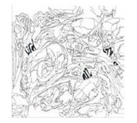 Bird & Bone EP by Artisan Guns [CD] NEUF