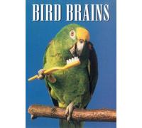 Bird Brains