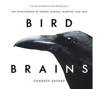 Bird Brains: The Intelligence of Crows, Ravens, Magpies, and Jays