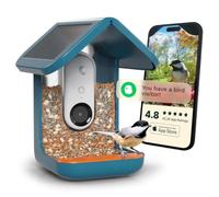 Bird Buddy® Mangeoire à Oiseaux Intelligente Originale avec caméra à énergie Solaire, caméra AI Haute résolution pour de Belles Photos rapprochées et Une expérience Unique d