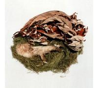 Bird By Snow - Offering [Vinyl] [Import]