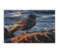 Bird by Stone Petit tapis lavable avec envers en caoutchouc antidérapant pour cuisine, chambre à coucher, salle de bain, décoration de sol
