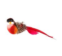 Bird Cat Toys - Accessoires de pêche au chat, Remplacement des plumes de coussin | Teaser de printemps coloré avec un personnel long pour le chaton pour le chaton jouant et la chasse amusante, des jou