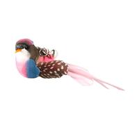 Bird Cat Toys - Accessoires de pêche au chat, Remplacement des plumes de coussin | Teaser de printemps coloré avec un personnel long pour le chaton pour le chaton jouant et la chasse amusante, des jou