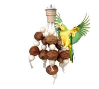 Bird Chew Toys, Parakeet Grinding Aid, Cockatiel Enrichment Accessory, Macaw Conure Plaything for Pet Parents, Animal Lovers, Trainers, Shelters, Zoo Aviaries, Living Room, Bedroom, Study Home