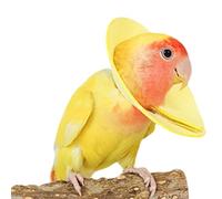 Bird Cone Collar For Plucking - 7x7x1cm Anti Bite Parrot Elizabethan