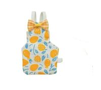 Bird Diaper, Vêtements Perroquet, Couches imperméables Pivoine, Culottes Mignonnes avec Poche à Urine, Accessoires for Pigeons Volants Xuanfeng(Lemon,L)