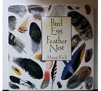 Bird, Egg, Feather, Nest