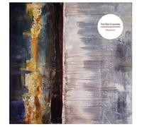 Bird Ensemble - Migration [Import]