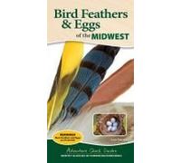 Bird Feathers & Eggs Of The Midwest