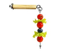 Bird Feeder for Cage Foraging - Stainless Steel Stand with Wooden Perch