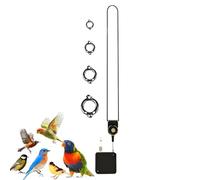 Bird Foot Chain - Stainless Steel Auto-Retractable Parrot Rope for Safe Play, Chewable Ankle Accessories with Design, Flying Training Tool for Conures, Lovebirds, Finches, Cockatiels, Macaws