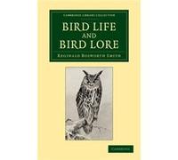 Bird Life And Bird Lore
