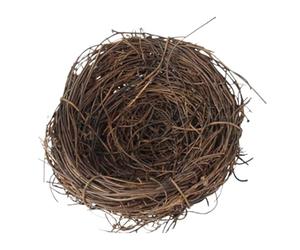 Bird Nest Decor - Handmade Woven Hatch House for Small Pets, Natural wicker design cosy & decorative, Flat base + secure structure, Premium handwoven material durable build, for parakeets, birds & far